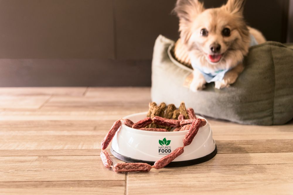 Hundfoder: En guide till att välja rätt mat för din fyrbenta vän
